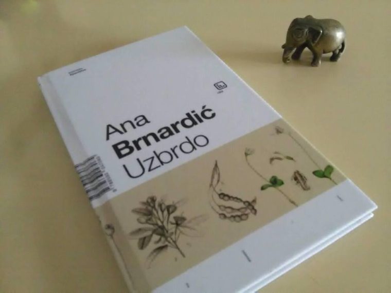Recenzija: Zbirka poezije “Uzbrdo” Ane Brnardić