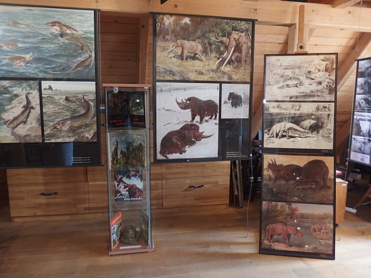 Doznajte više o češkom umjetniku Zdeněku Burianu koji se proslavio slikanjem dinosaura