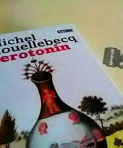 Književna recenzija: Roman Serotonin kontroverznog Michela Houellebecqa