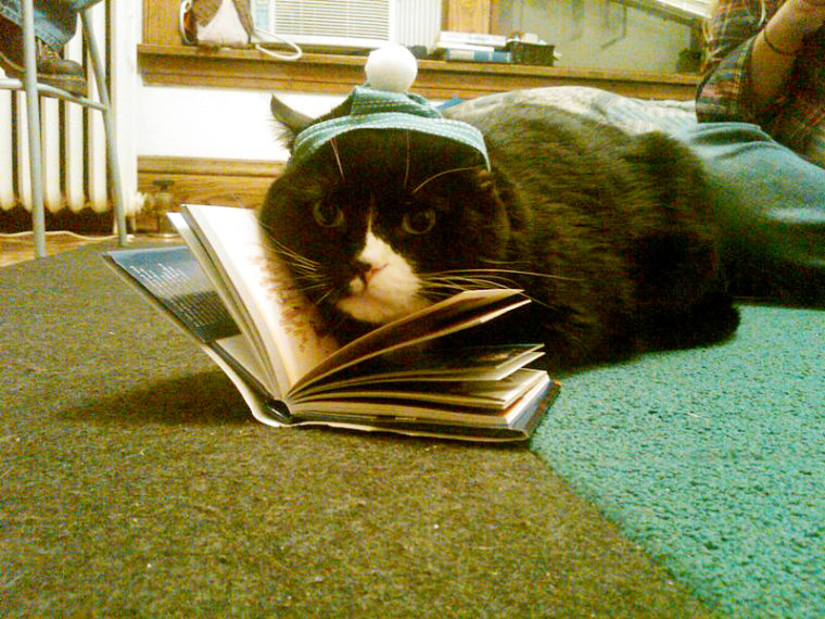 Volite mačke? Volite knjige? Onda je ovo za vas!