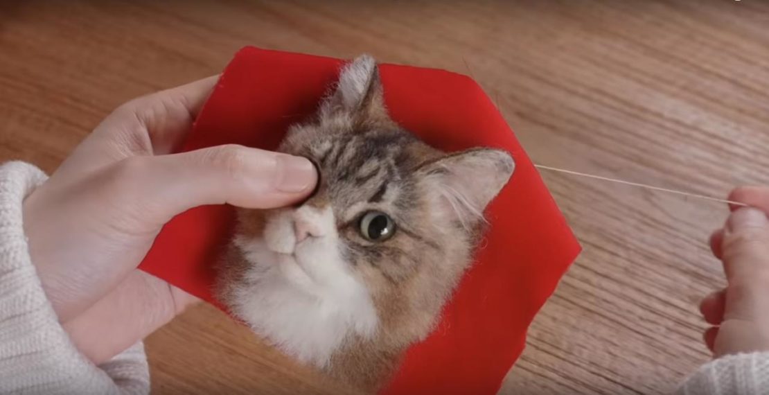 Želite li posjedivati realističnu 3D bistu svoje mačke?