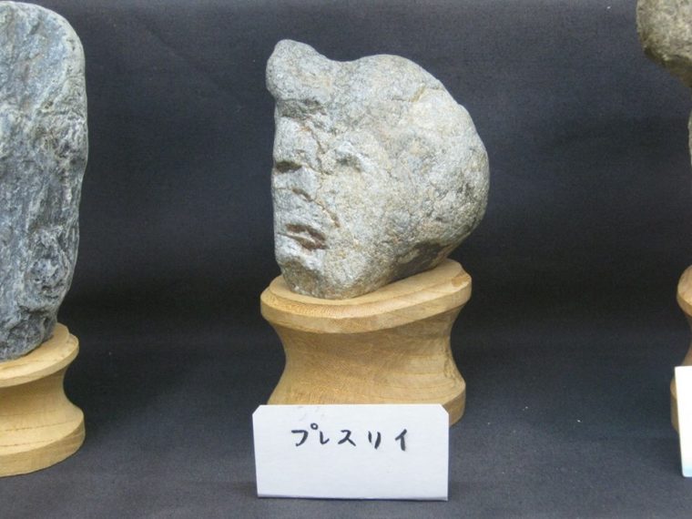 Kolekcija ovog muzeja sastoji se isključivo od kamenja koje podsjeća na ljudska lica